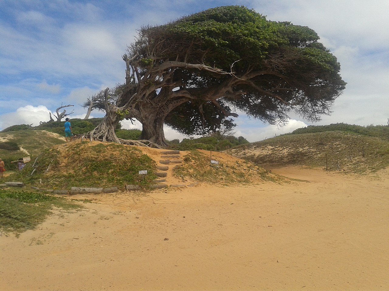 para onde ir no rio grande do norte