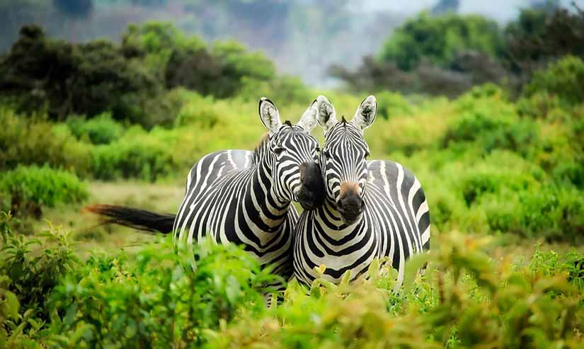 lugares para visitar na áfrica do sul