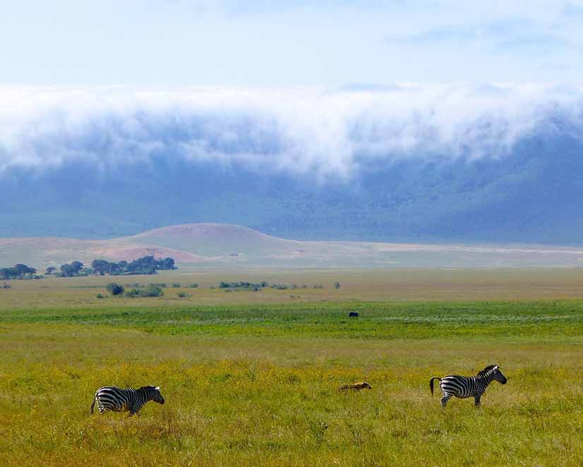 roteiro na tanzânia