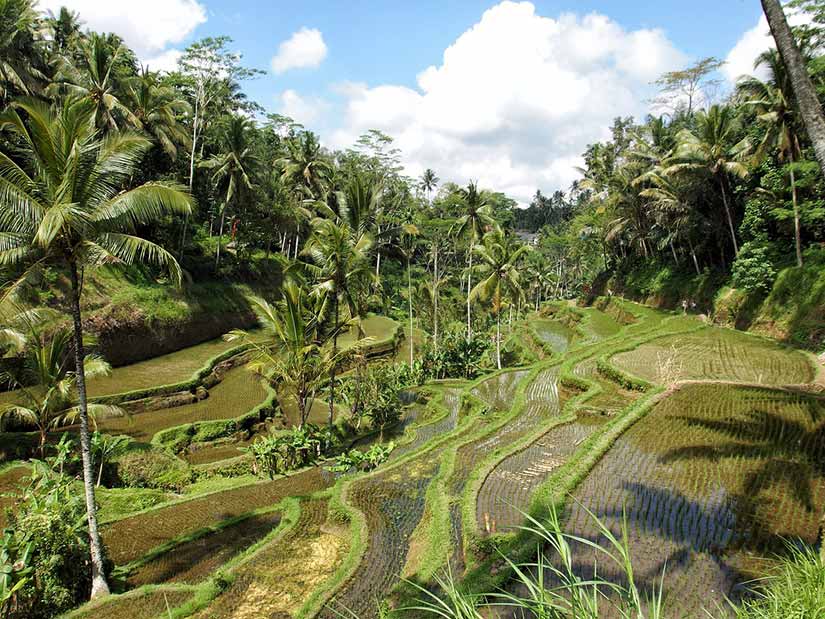 Qual é a época mais barata para viajar para bali