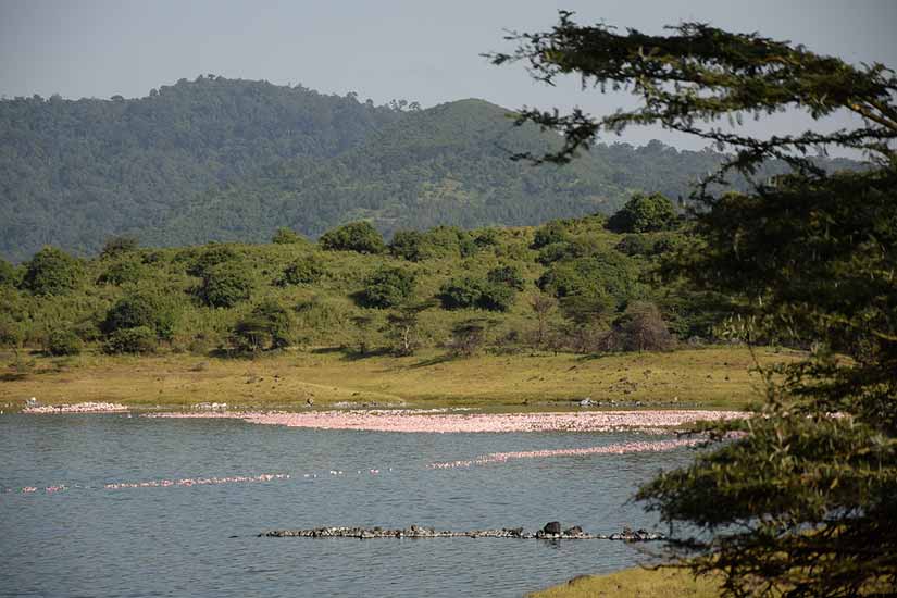 lugares para visitar tanzânia