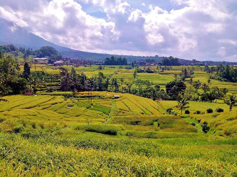 cidades da indonesia