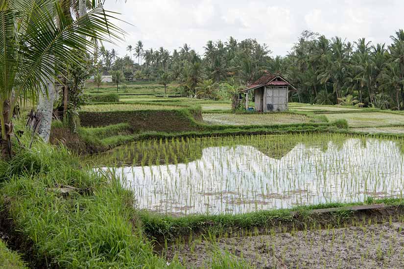 pontos turisticos incríveis bali