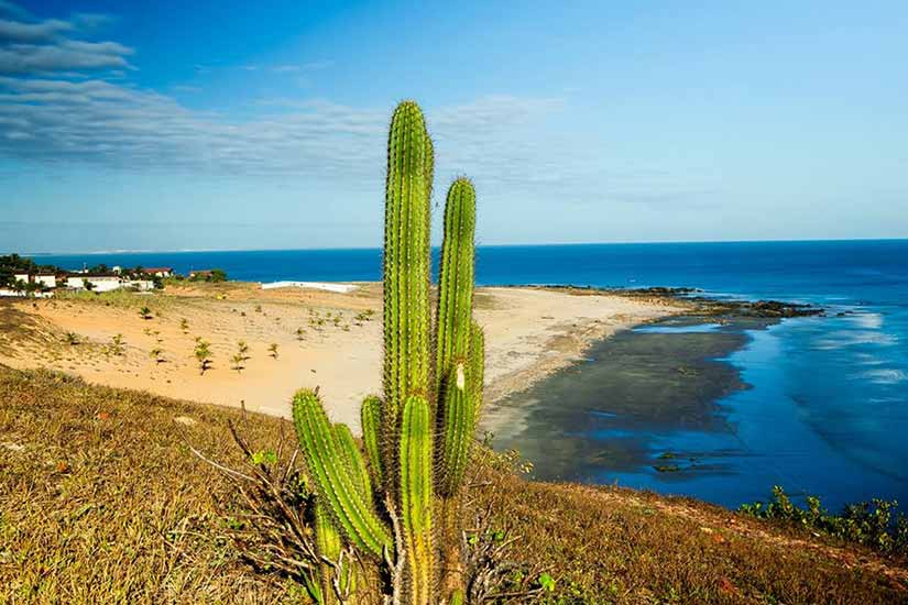 Ideias de fotos em Jericoacoara