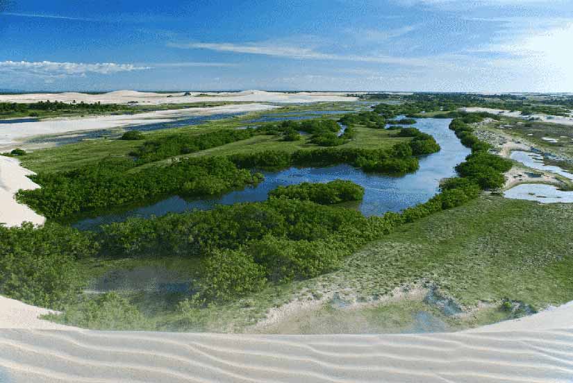 melhor epoca para ir a jericoacoara