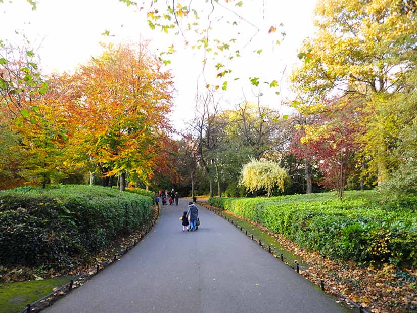 Parque St Stephen's Green