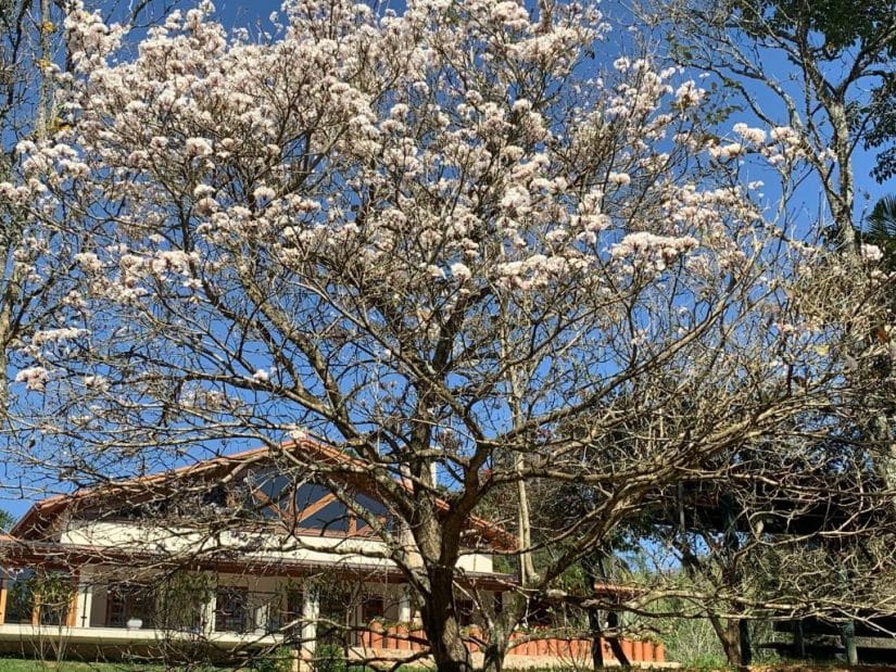 pousada em são roque com piscina aquecida
