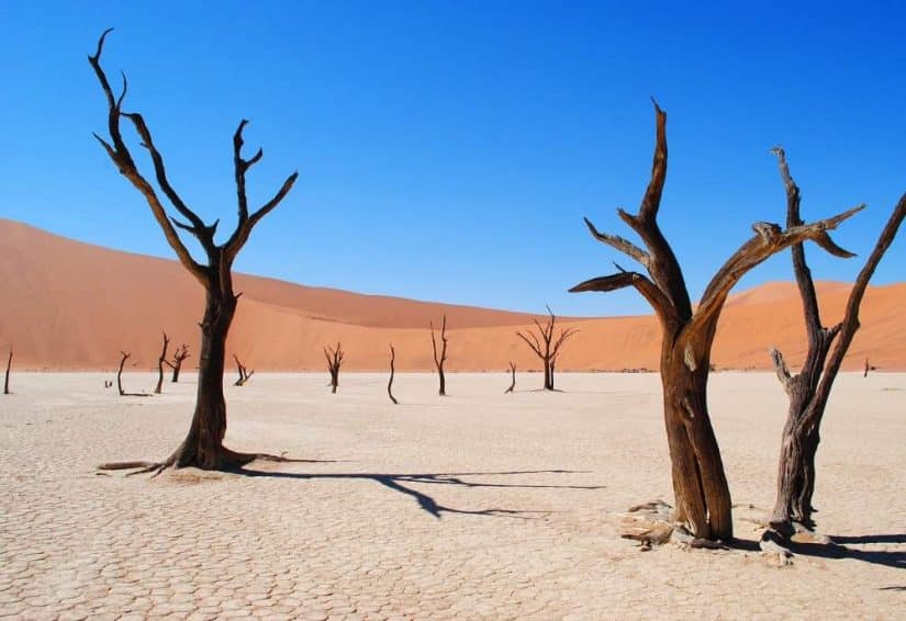 namíbia deserto mais seco