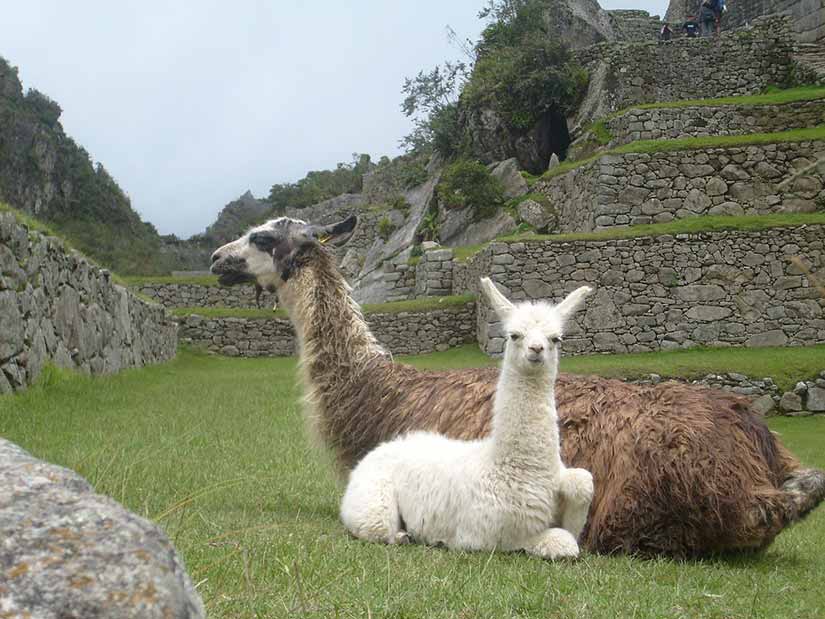 roteiro machu picchu