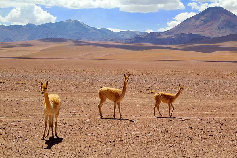 Viagem ao Chile