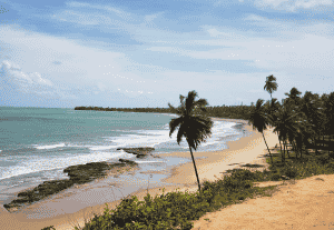Onde ficar em Japaratinga: melhores praias e hotéis
