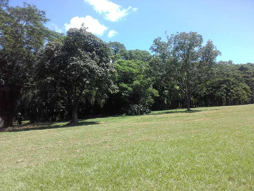 Jardim Botânico