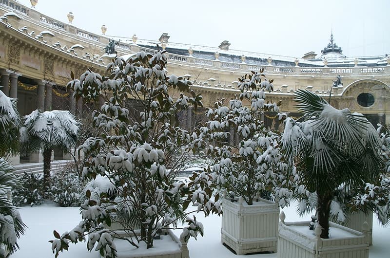 Inverno em Paris Ano Novo 