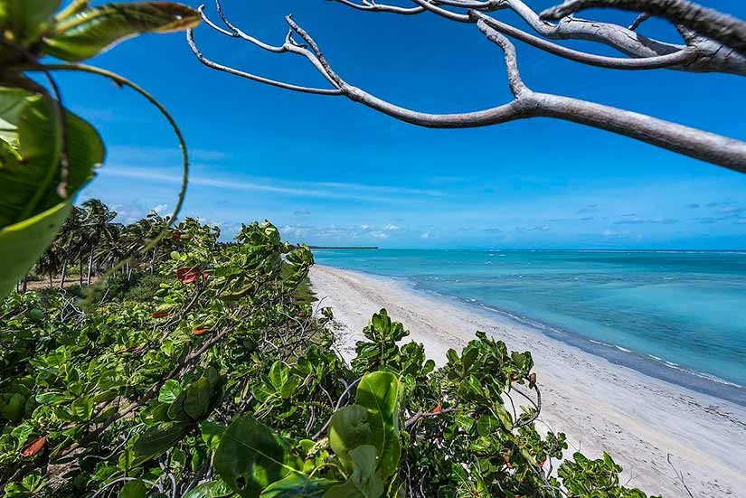 caribe brasileiro alagoas