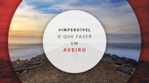 O que fazer em Aveiro em Portugal: passeios e pontos turísticos