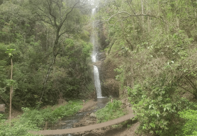 Ecoparque Cassorova