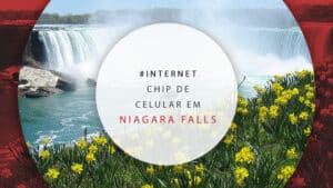 Chip de celular em Niagara Falls, Canadá: dicas e preços