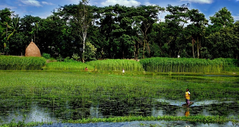Chip Celular em Bangladesh
