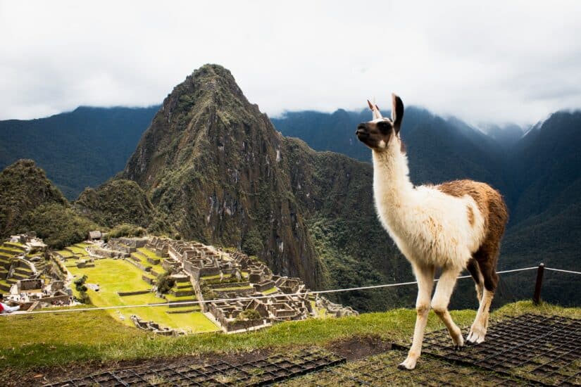 Pega internet em Machu Picchu?