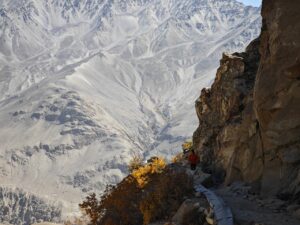 Seguro viagem para Tajiquistão: como escolher o melhor plano Seguro viagem para Tajiquistão: como escolher o melhor plano