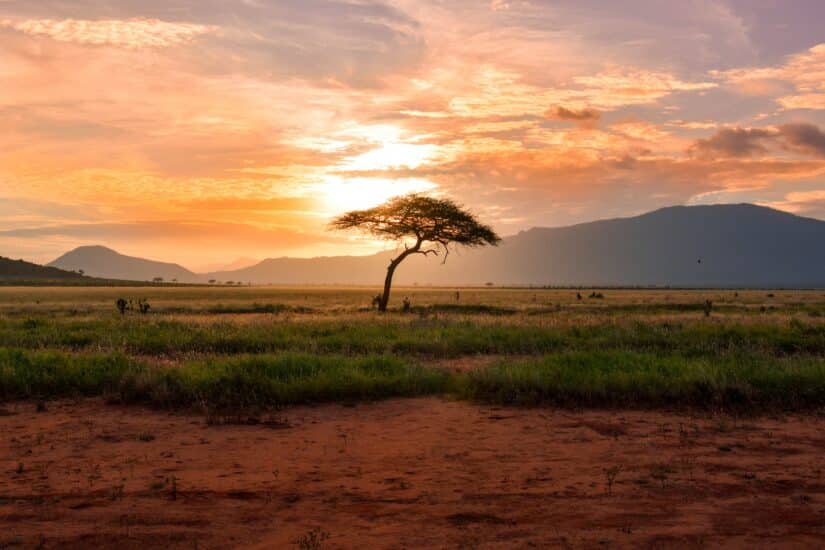 Viajar tranquilo para a África