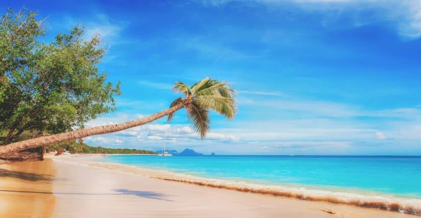 Uma praia tropical com águas azuis cristalinas, uma palmeira inclinada e sol — ideal para uma viagem segura ao Caribe e América Central.