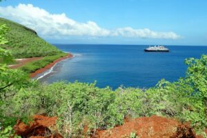 Seguro viagem para Galápagos: tudo sobre as coberturas