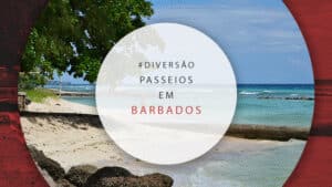 Passeios em Barbados: tours guiados e atrações imperdíveis