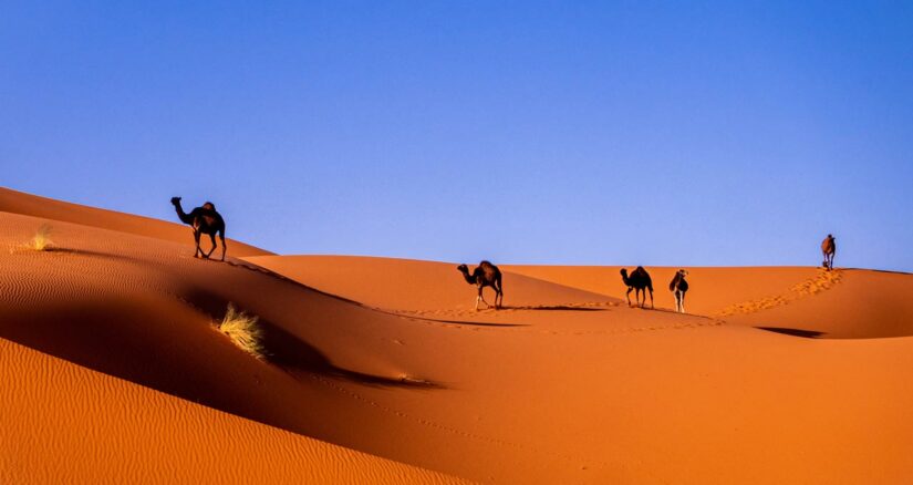 Passeios incríveis no Marrocos