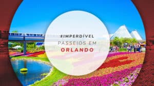 Passeios em Orlando: melhores tours e atrações imperdíveis