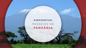 Passeios na Tanzânia: melhores tours guiados e excursões