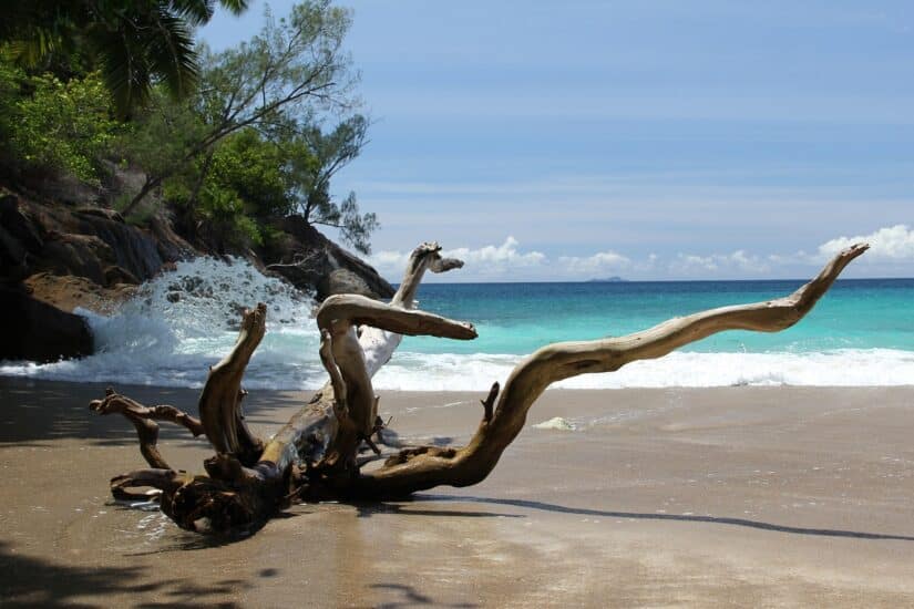 Praia de Anse Major