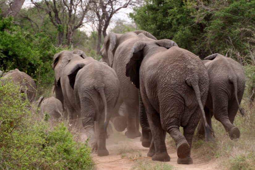 Tours guiados em Moçambique