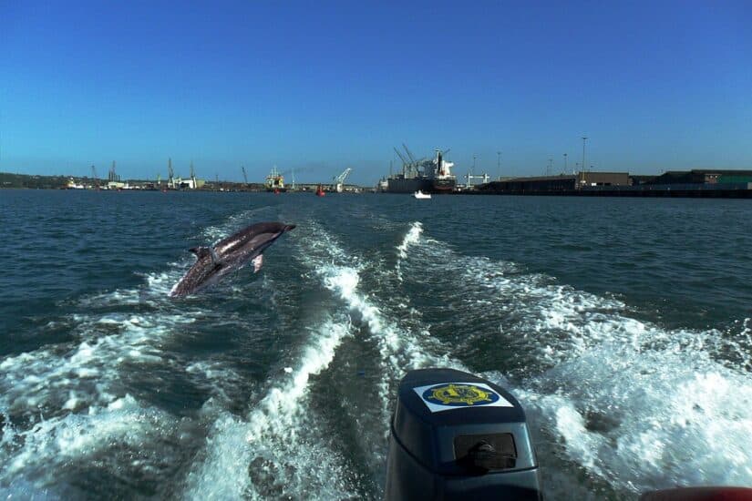 Passeios de barco África do Sul