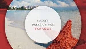 Passeios nas Bahamas: coisas para fazer e dicas de atrações