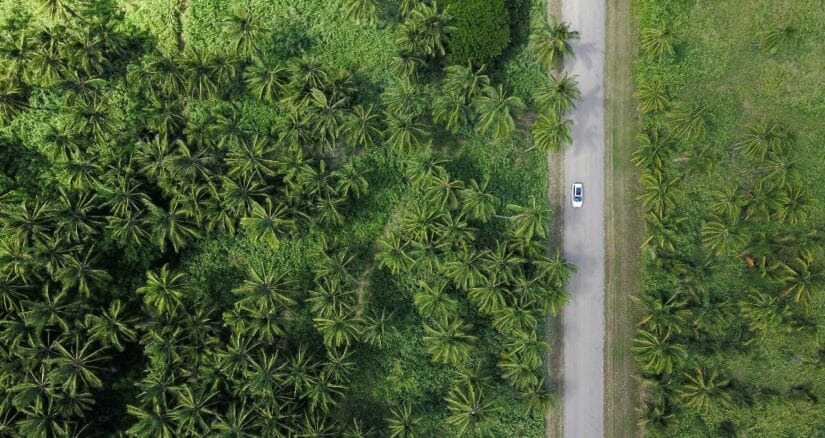 O que fazer em Oahu em grupo