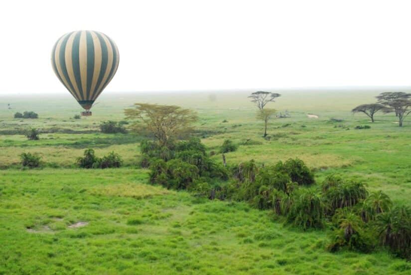 passeios no parque serengeti