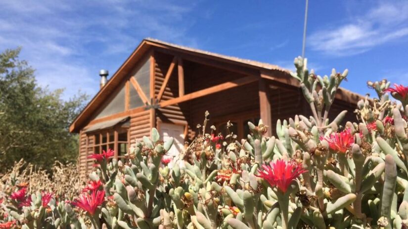 Cabana para família no Atacama