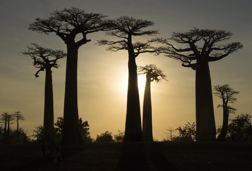 eSIM Madagascar
