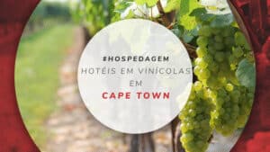 Hotéis nas vinícolas em Cape Town: 11 hospedagens fantásticas