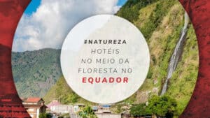 Hotéis no Equador no meio da floresta: 13 opções para relaxar
