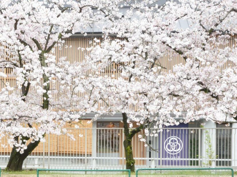 Hostels em Osaka perto da Estação Namba