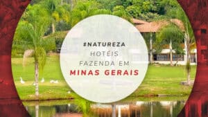 Hotéis fazenda em Minas Gerais: 33 aconchegos no campo