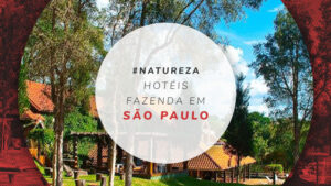 21 hotéis fazenda em São Paulo para se encantar pelo campo