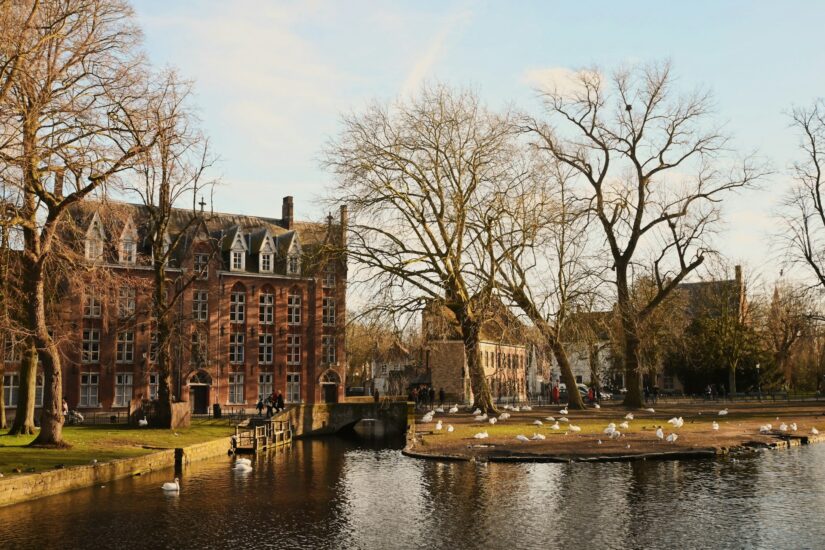 hotéis perto do Minnewater, o Lago do Amor, na Bélgica Um canal com cisnes, árvores sem folhas e edifícios históricos de tijolos mostra por que muitos perguntam onde ficar em Bruges em um dia ensolarado.