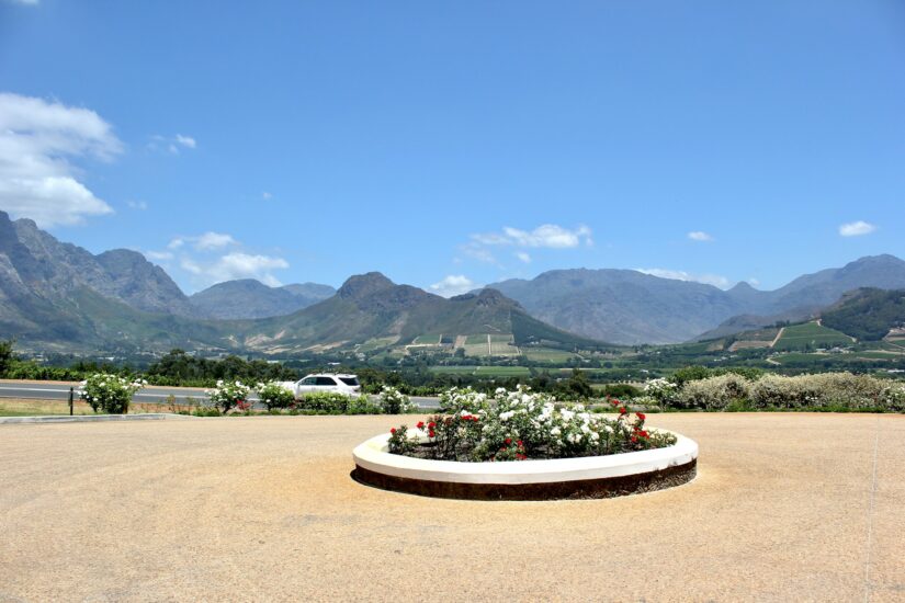melhores hotéis nos bairros Gardens e Oranjezicht na Cidade do Cabo Um canteiro redondo com flores vermelhas e brancas, como as que existem perto de onde ficar em Cape Town, sob um céu azul claro.