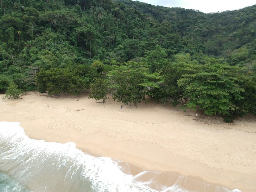 melhores hotéis e pousadas em Paraty-Mirim Praia de Paraty-Mirim de areia com ondas suaves e um cenário de floresta exuberante, perfeita para quem procura onde ficar em Paraty.