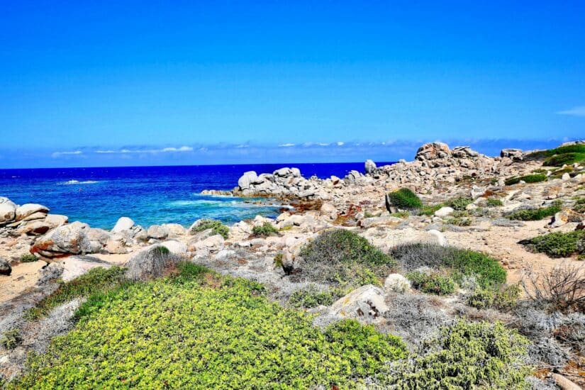hotéis em Gallura na Sardegna na Itália Costa rochosa com arbustos verdes, mar azul e céu claro - veja onde ficar na Sardenha para as melhores vistas.