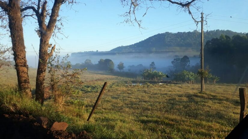 onde ficar no Vale Europeu na cidade de Indaial Árvores e uma cerca em primeiro plano, com a névoa da manhã sobre um campo gramado na cidade de Indaial em Santa Catarina