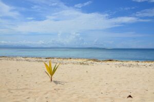 Onde ficar em Fiji 2026: principais ilhas e dicas de hotéis Onde ficar em Fiji 2026: principais ilhas e dicas de hotéis